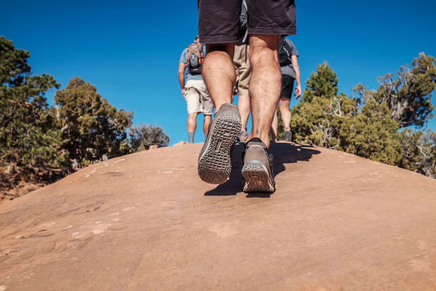 Hiking shoes