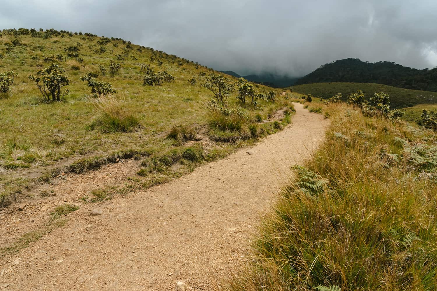 Moon Plains Nuwara Eliya