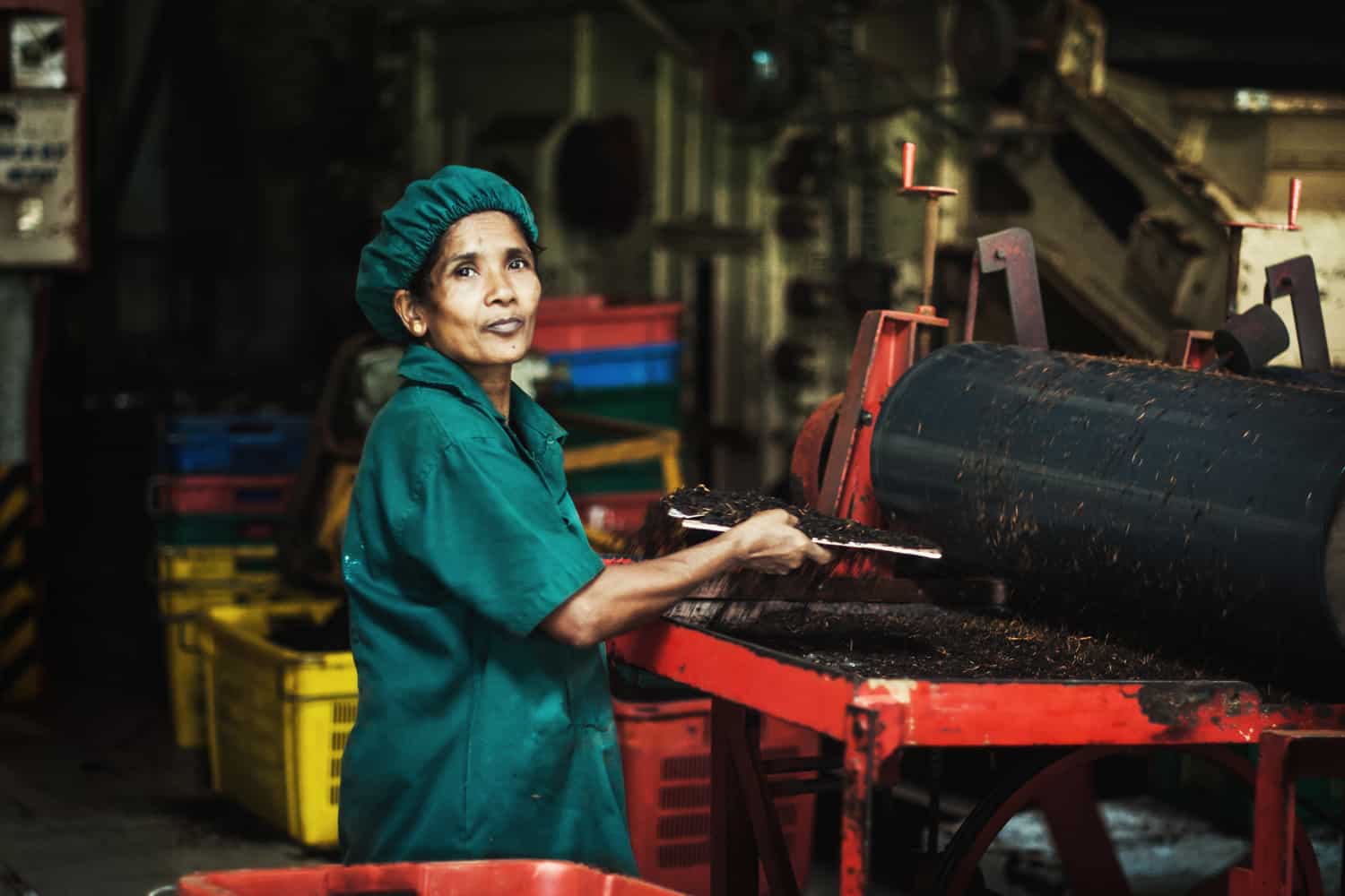 Tea factory visit in Nuwara Eliya