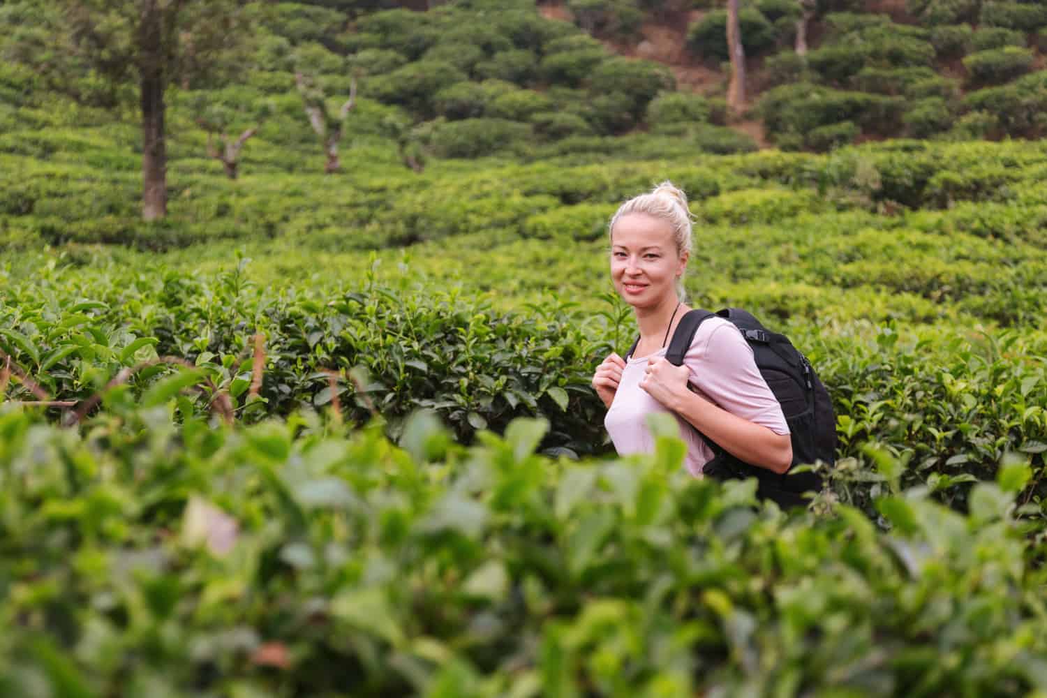 Tea plantation visit