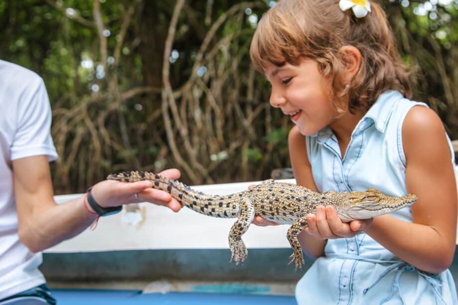 Sri Lanka with toddlers | What you need to Know - Travellers Isle