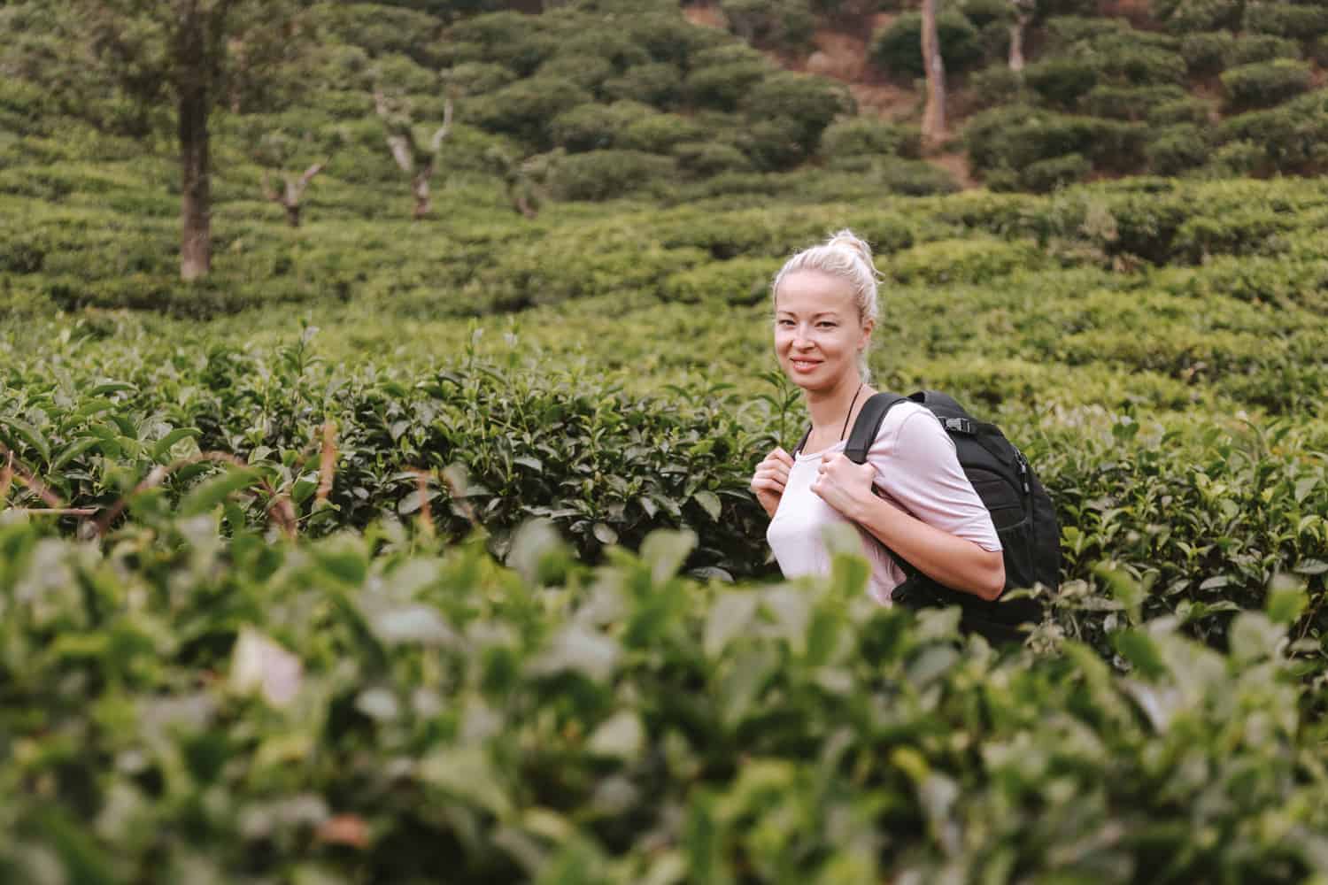 Tea regions in Sri Lanka