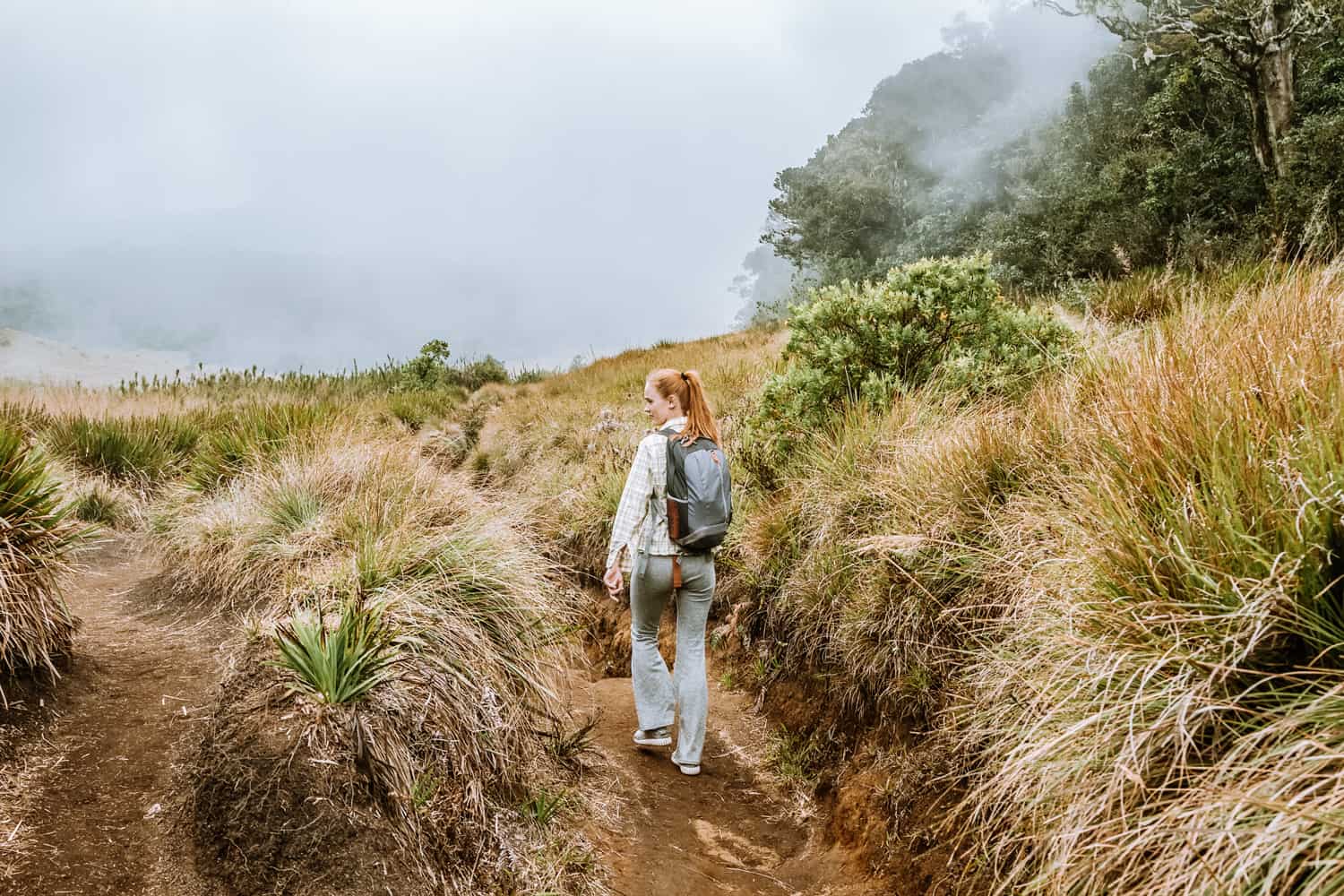 World's End at Horton Plains