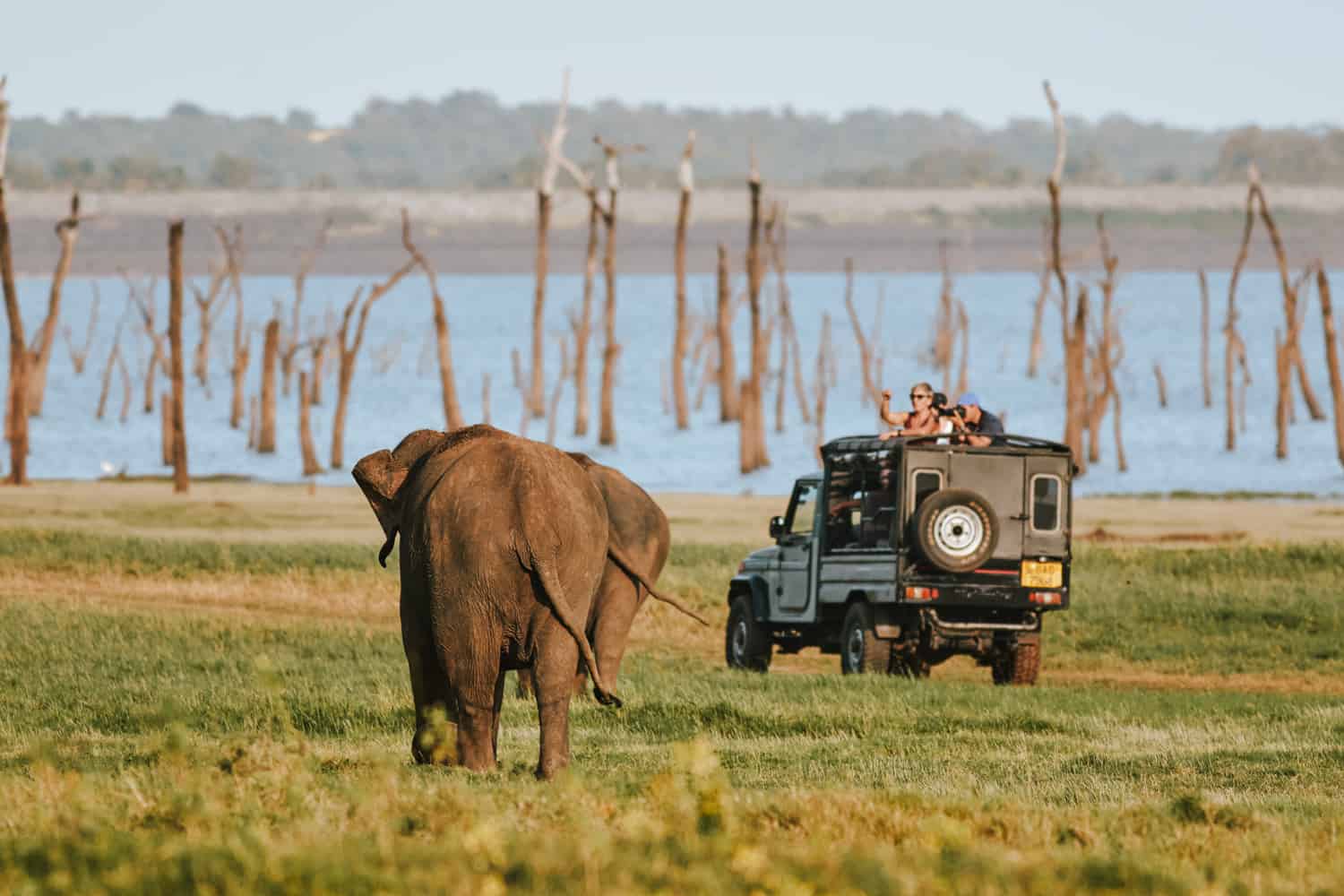 Minneriya National Park Jeep Safari