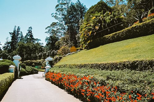 Hakgala Botanical Garden