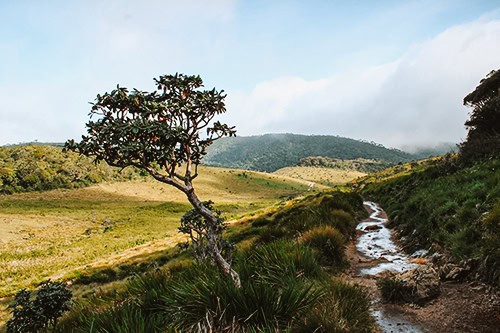 Horton Plains